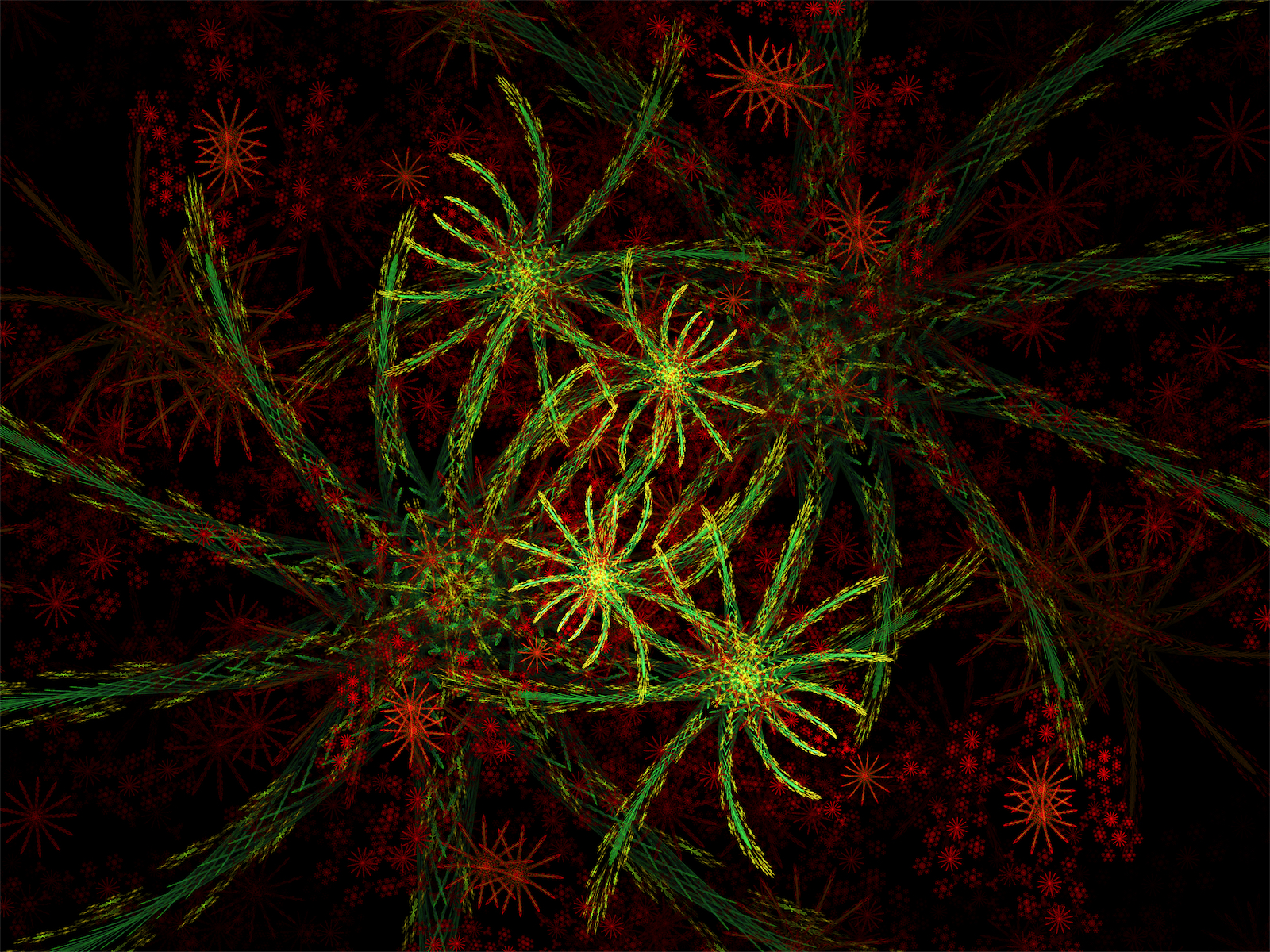 06 19 for christmas tree